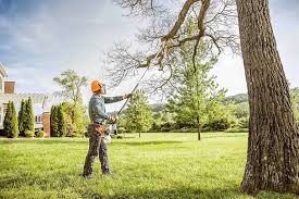 Chillicothe, IL Tree Removal Services Company